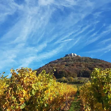 22, Terrasse,pool,sauna,ofen *