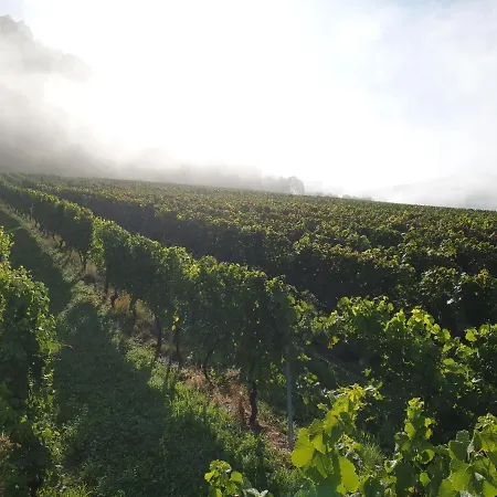 22, Terrasse,pool,sauna,ofen شقة Neuffen