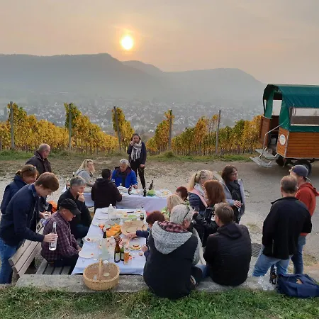 22, Terrasse,pool,sauna,ofen Neuffen