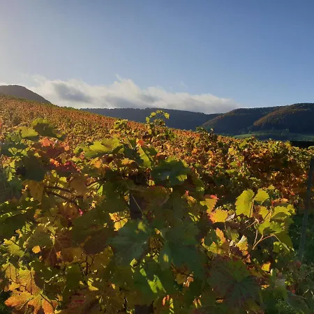 شقة 22, Terrasse,pool,sauna,ofen Neuffen