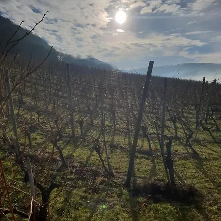 22, Terrasse,pool,sauna,ofen شقة *