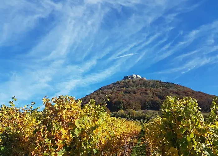 22, Terrasse,pool,sauna,ofen *