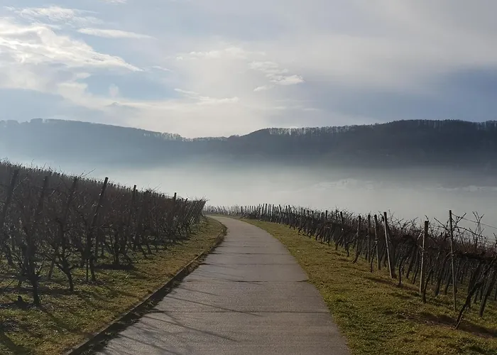 22, Terrasse,pool,sauna,ofen * Neuffen