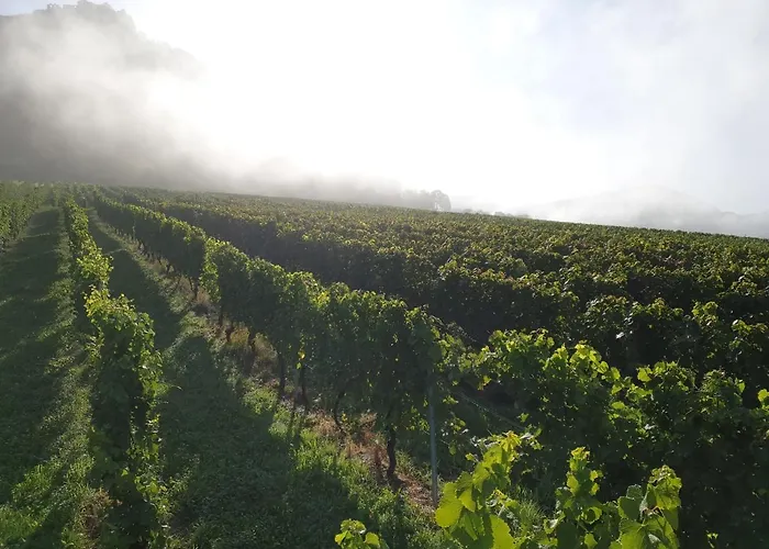 22, Terrasse,pool,sauna,ofen Апартаменты Neuffen