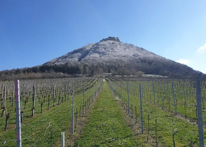 22, Terrasse,pool,sauna,ofen Апартаменты *