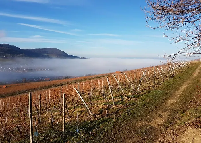 22, Terrasse,pool,sauna,ofen Апартаменты