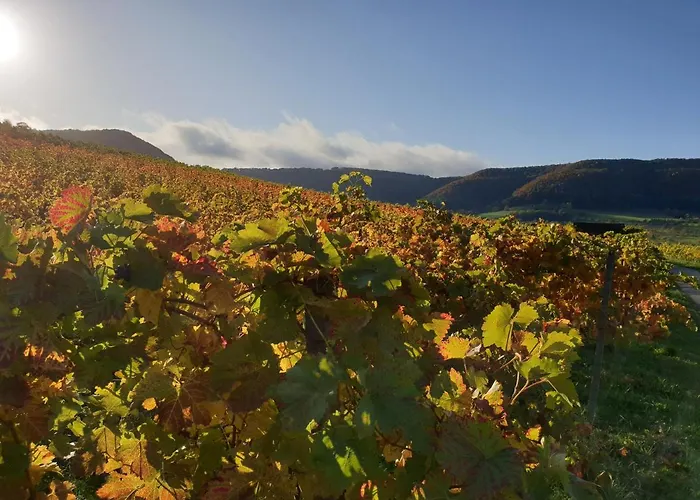 Апартаменты 22, Terrasse,pool,sauna,ofen Neuffen