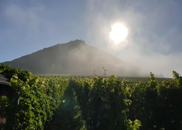 22, Terrasse,pool,sauna,ofen Апартаменты